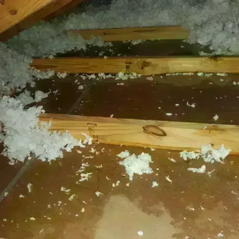 Attic Water Damage in Adamsville, AL