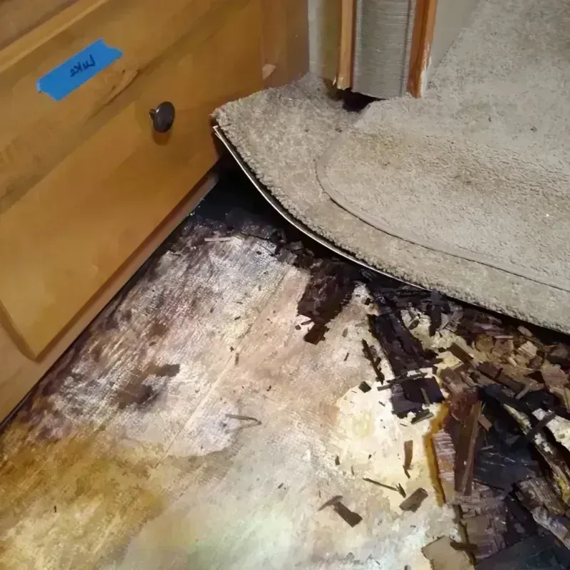 Wood Floor Water Damage in Adamsville, AL